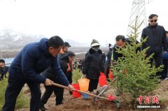 青海玉树：三江源头添新绿 全民护绿促发展
